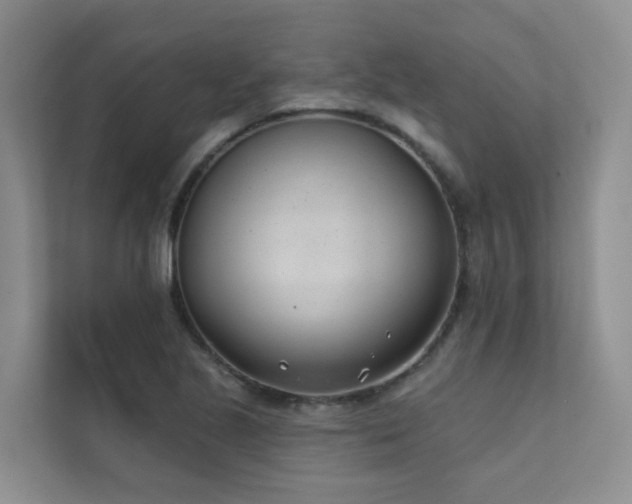 X0000111611221200907171217