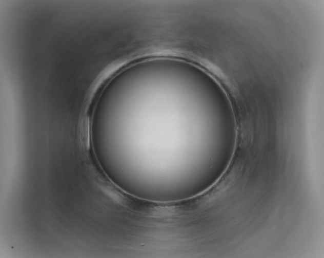 X0000111611223200907171217