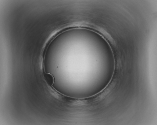 X0000111611224200907171217
