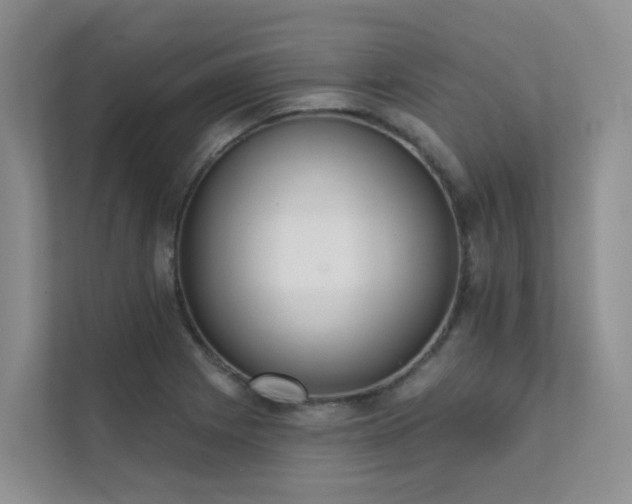 X0000111611225200907171217