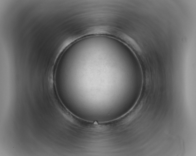 X0000111611226200907171217