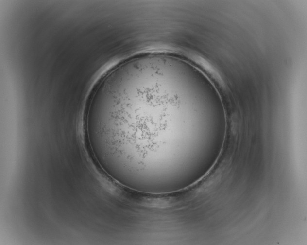 X0000111611229200907171217