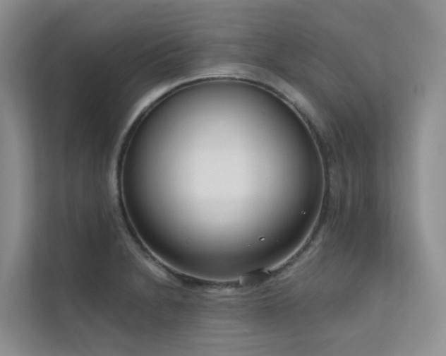 X0000111611230200907171217