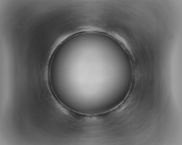 X0000111611231200907171217