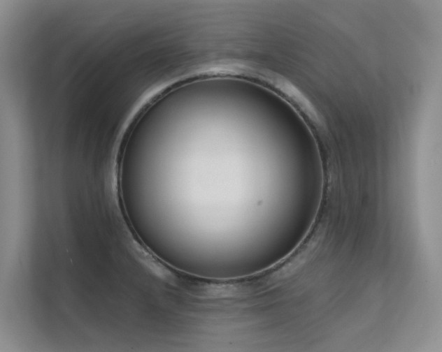 X0000111611232200907171217