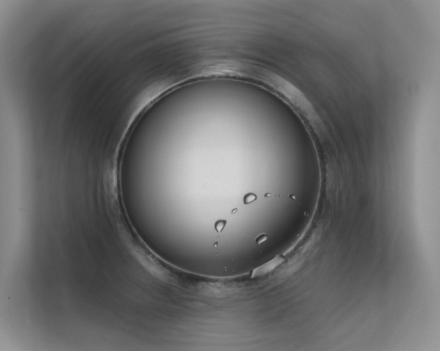 X0000111611234200907171217