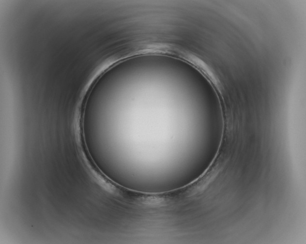 X0000111611235200907171217