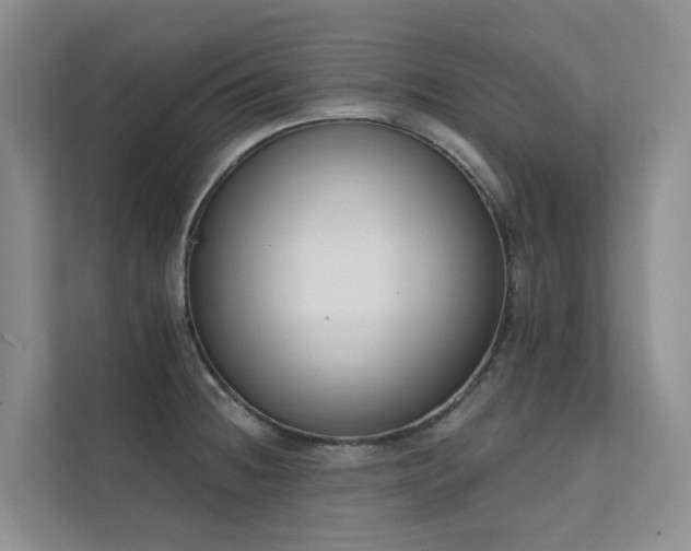 X0000111611236200907171217