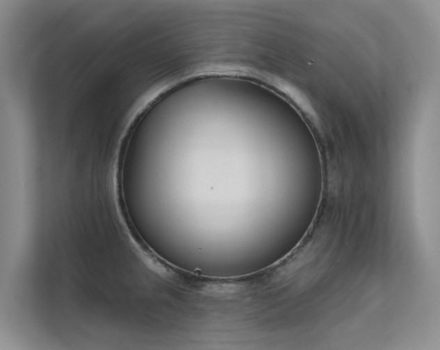 X0000111611237200907171217