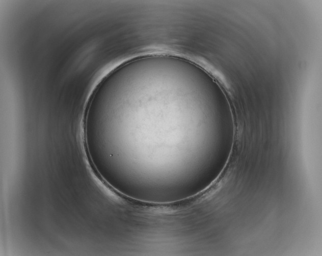 X0000111611239200907171217