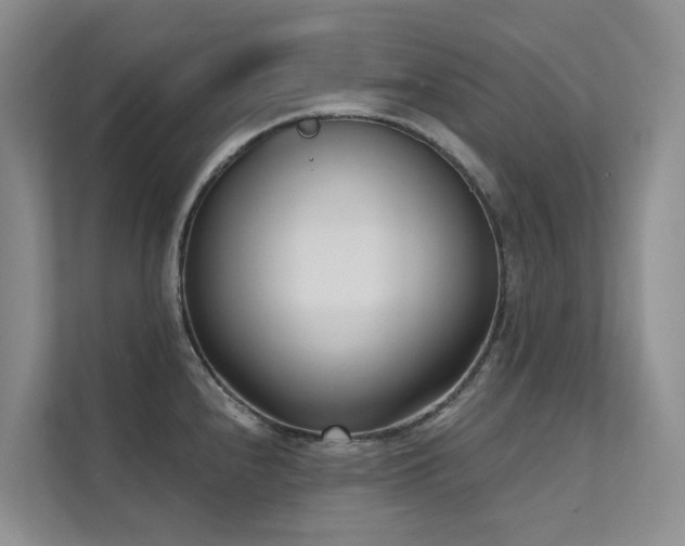 X0000111611240200907171217