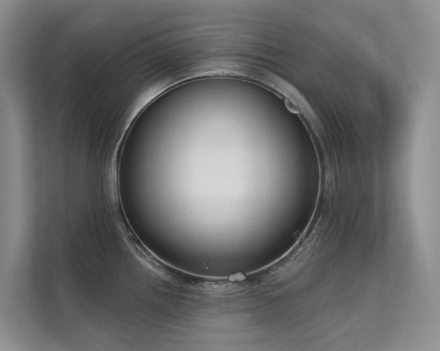 X0000111611242200907171217