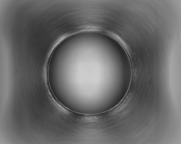 X0000111611243200907171217