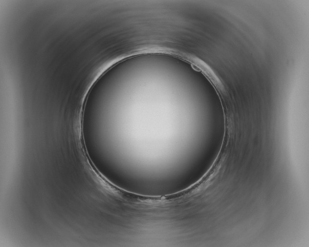 X0000111611244200907171217