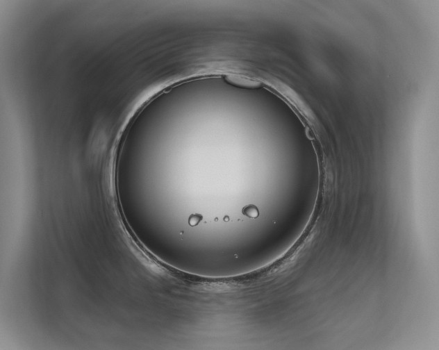 X0000111611246200907171217