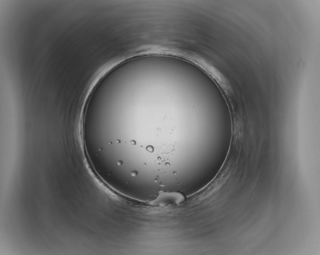 X0000111611247200907171217