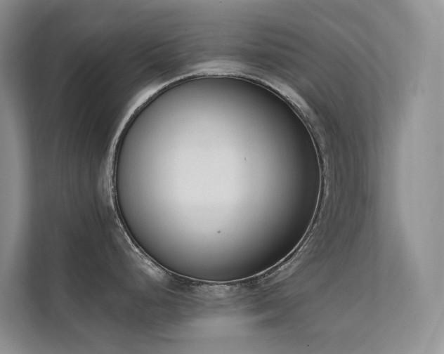 X0000111611248200907171218