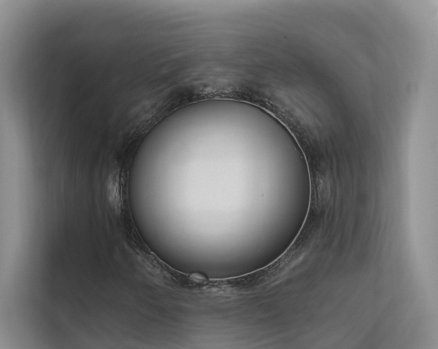 X0000111611250200907171217