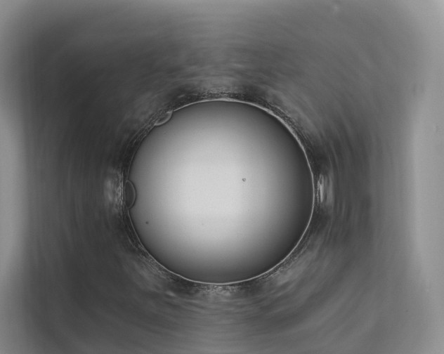 X0000111611251200907171217
