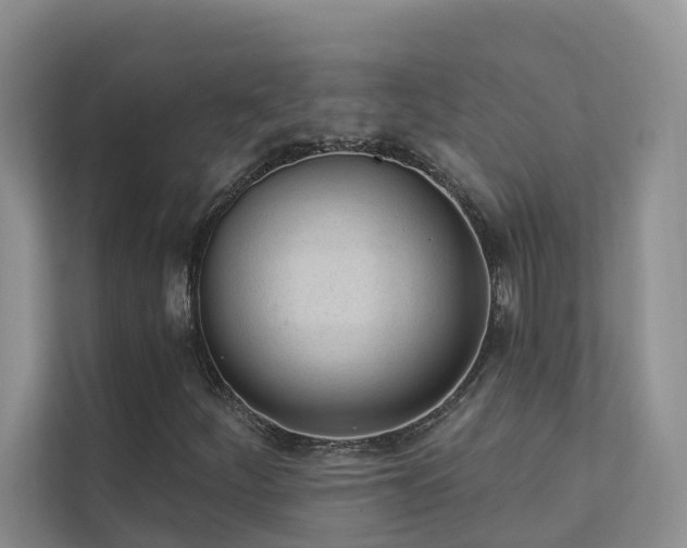 X0000111611252200907171217