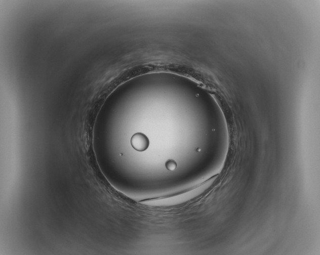 X0000111611253200907171217