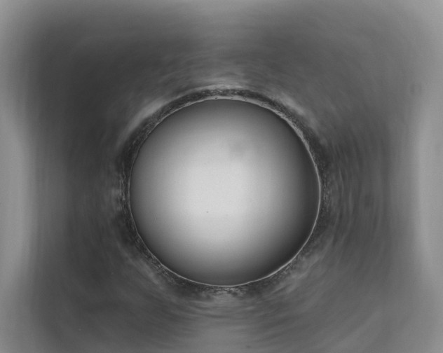 X0000111611255200907171217
