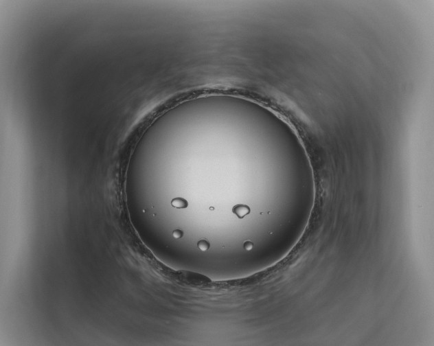 X0000111611256200907171217