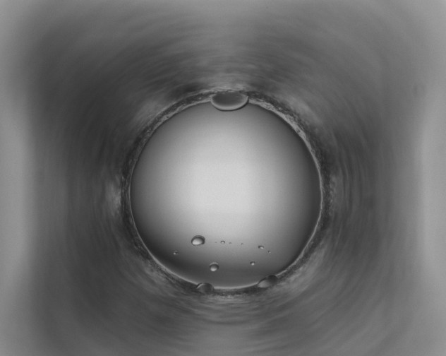 X0000111611257200907171217