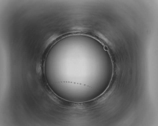 X0000111611259200907171217