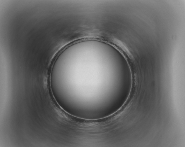 X0000111611260200907171217