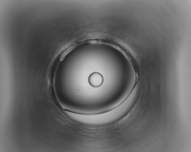 X0000111611261200907171217