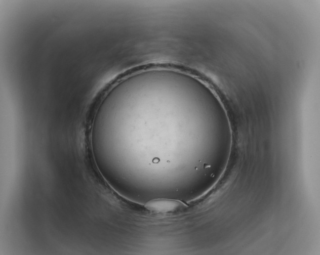 X0000111611263200907171217