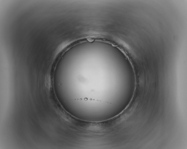 X0000111611267200907171217