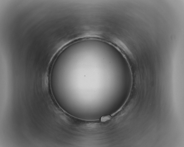 X0000111611268200907171217
