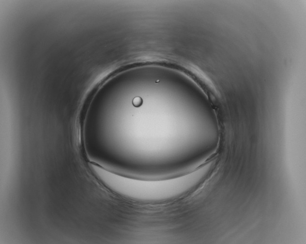 X0000111611269200907171217