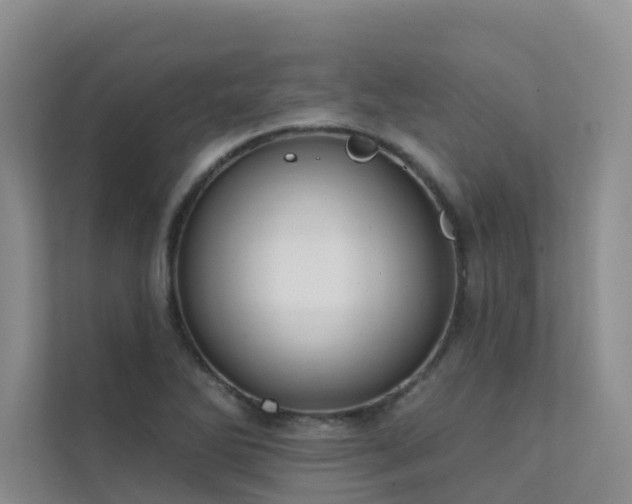 X0000111611270200907171217