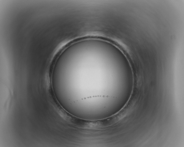 X0000111611271200907171217