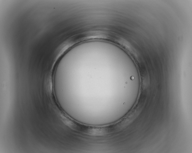 X0000111611274200907171217