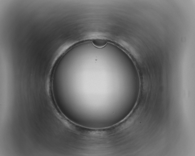 X0000111611277200907171217
