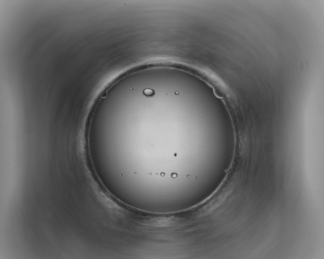 X0000111611279200907171216