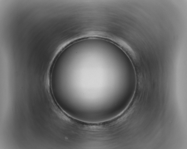X0000111611280200907171216