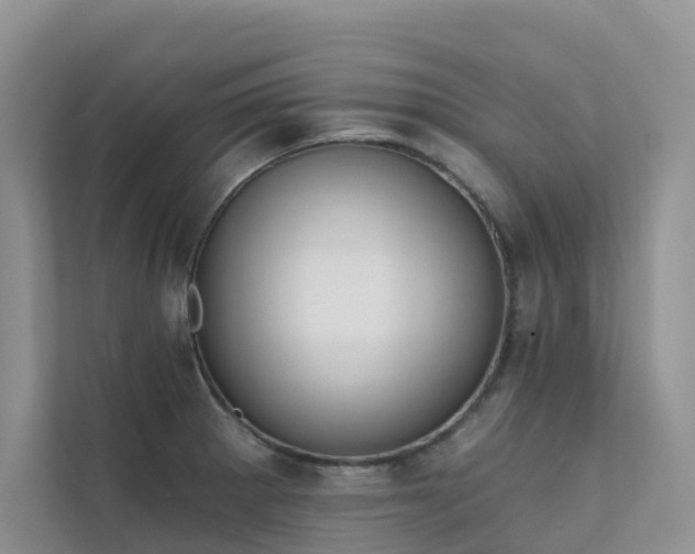 X0000111611281200907171216