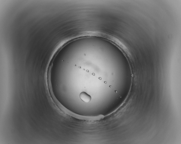 X0000111611283200907171216