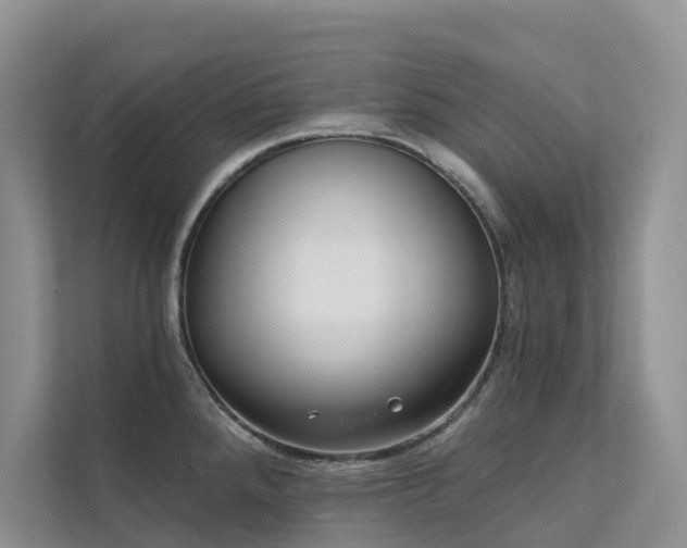 X0000111611288200907171216