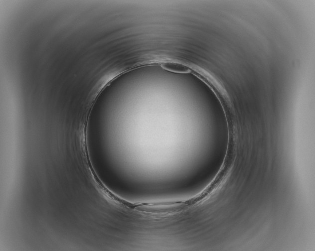 X0000111611289200907171216