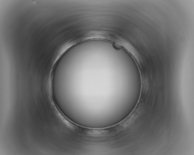 X0000111611290200907171216
