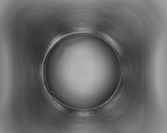 X0000111611291200907171216