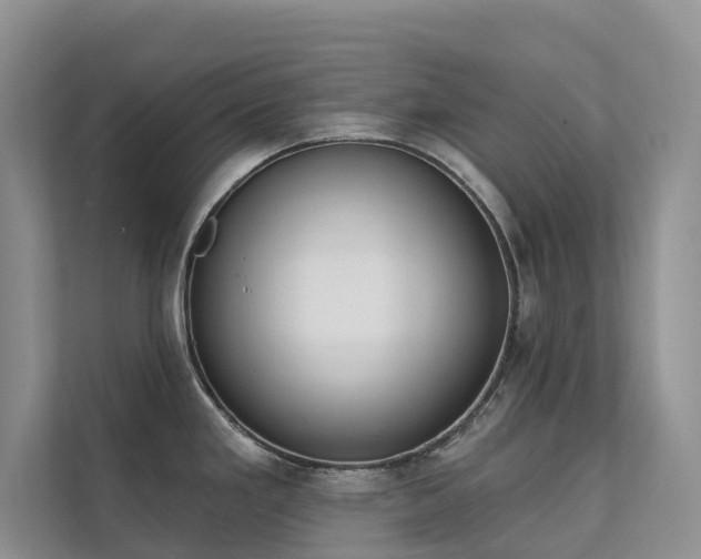 X0000111611293200907171216