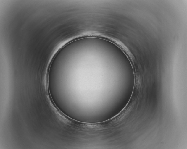 X0000111611295200907171216