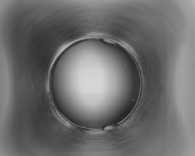 X0000111611296200907171216